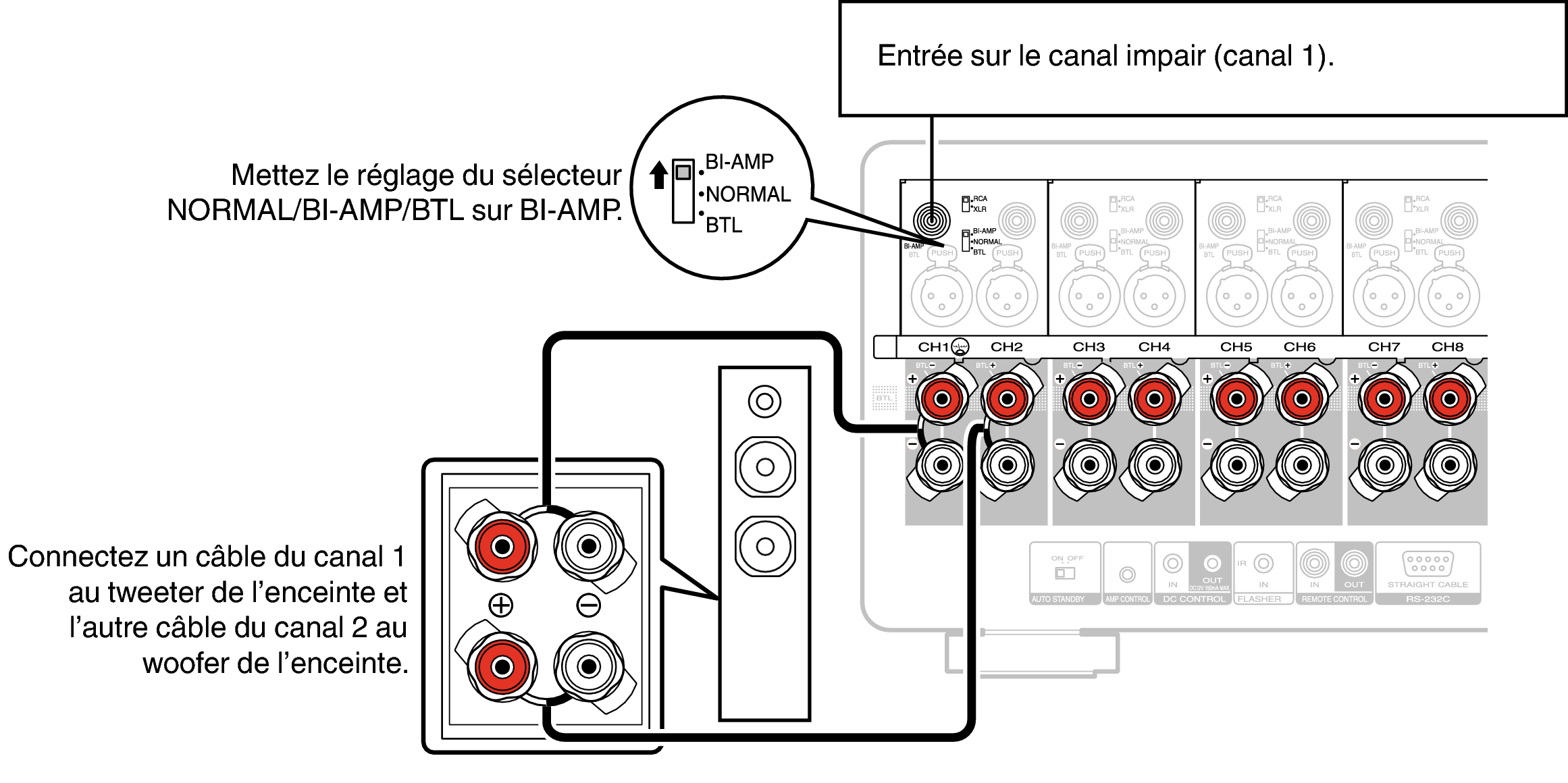 Conne SP BiAmp AMP10